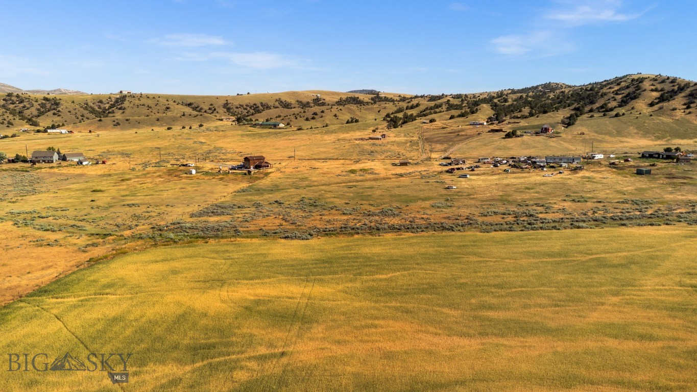 Ponderosa Pines - Land