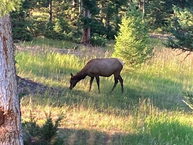 Skywood Preserve - Residential