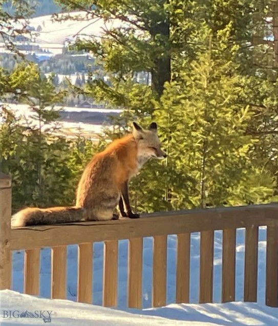 Skywood Preserve - Residential