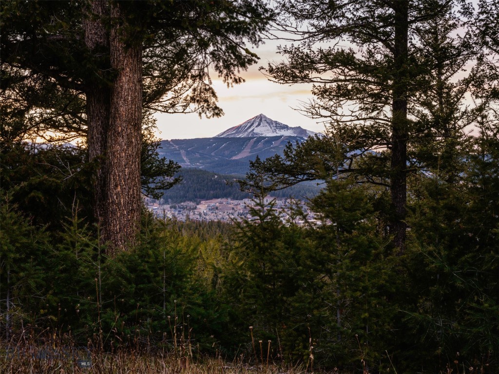 Skywood Preserve - Residential