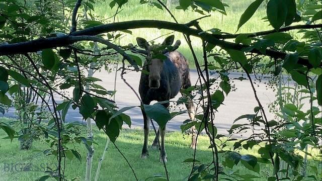 Skywood Preserve - Residential