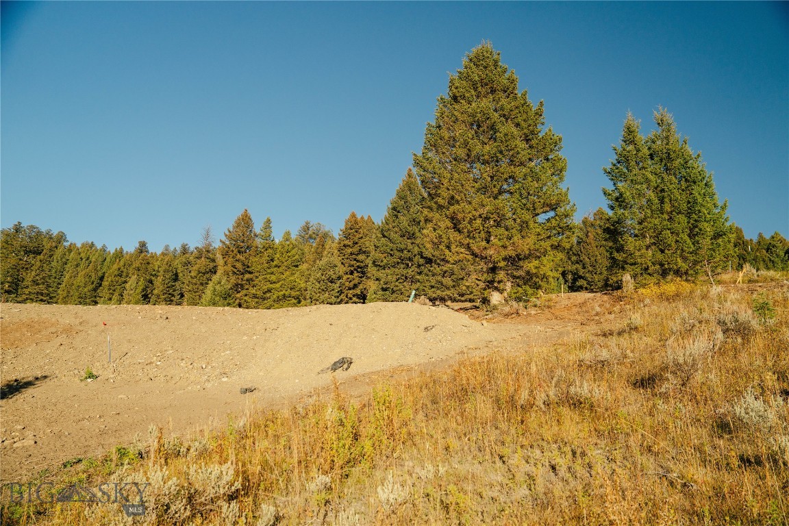 Upper Whitefish - Land