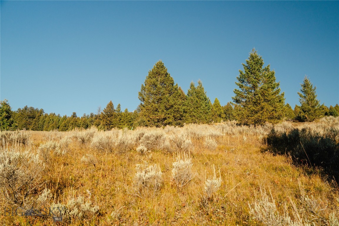 Upper Whitefish - Land