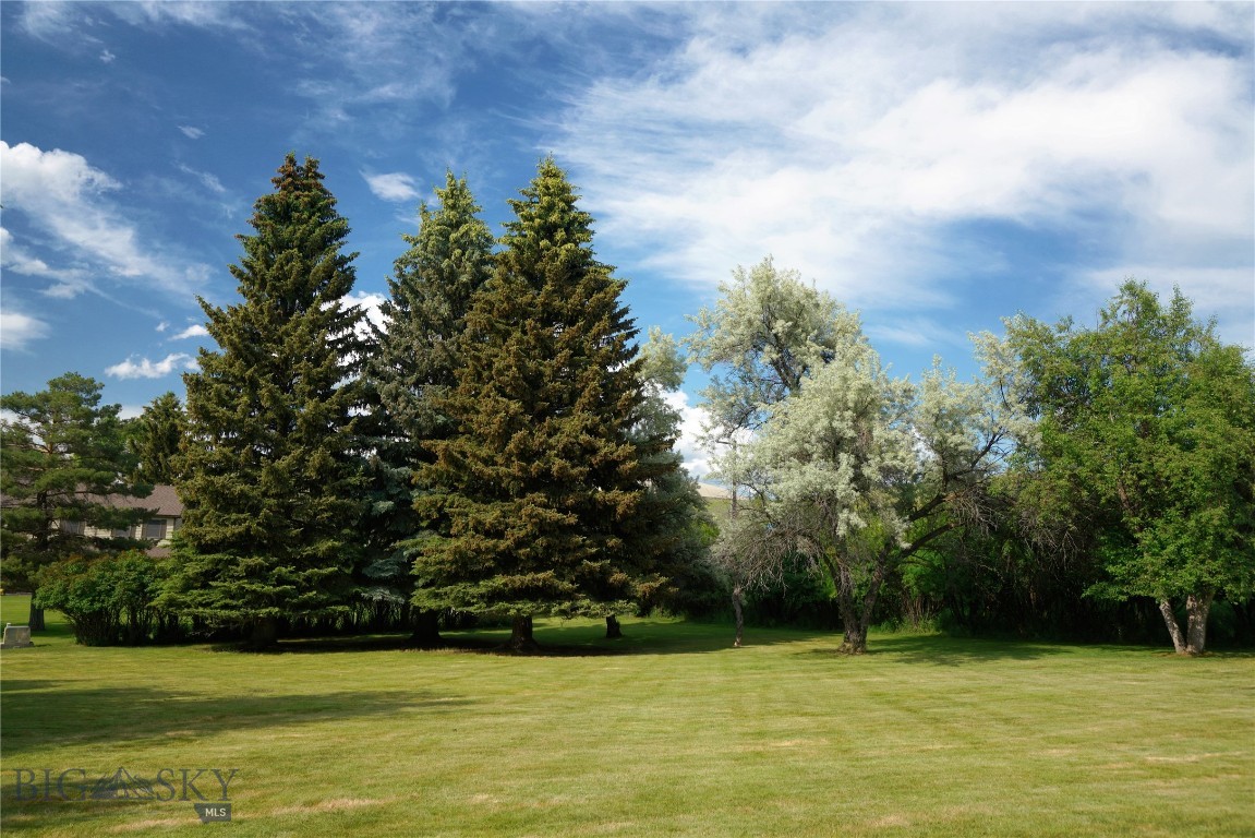 Sour Dough Creek Properties - Residential