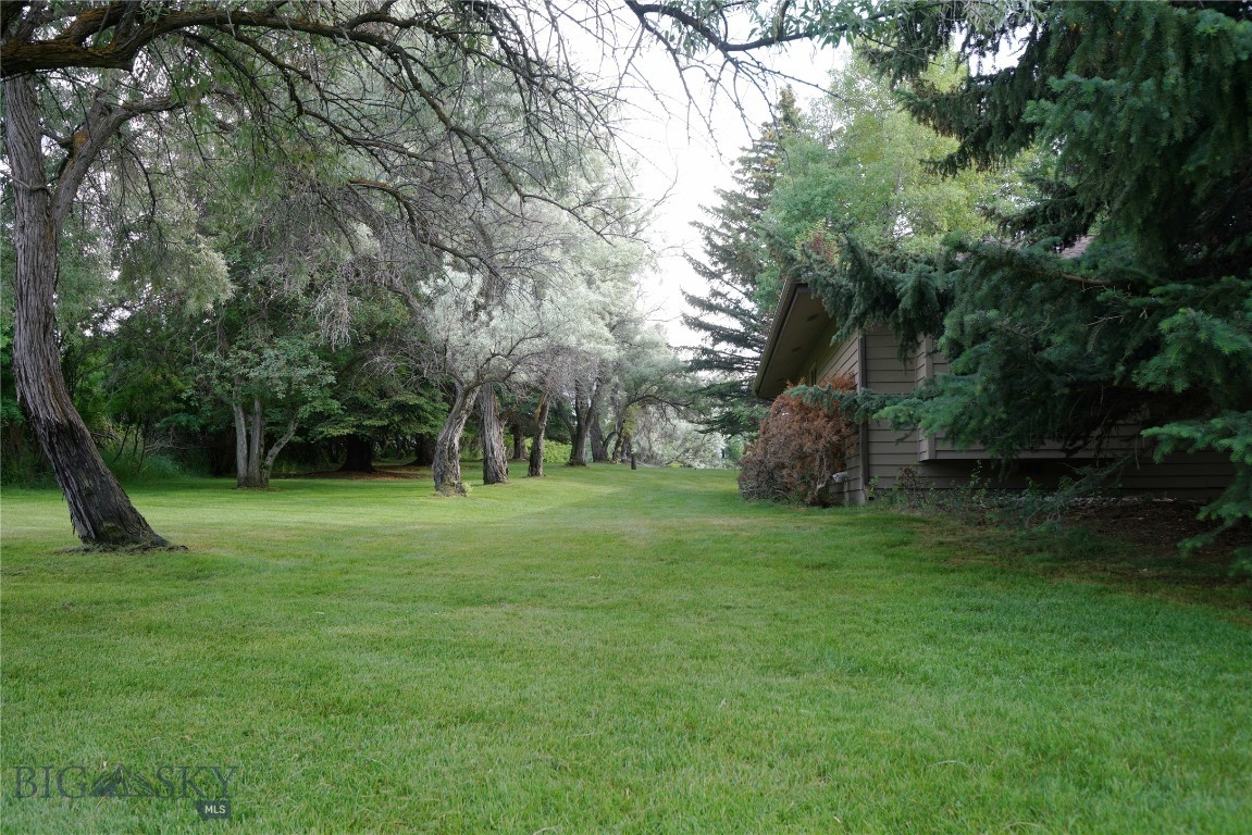 Sour Dough Creek Properties - Residential