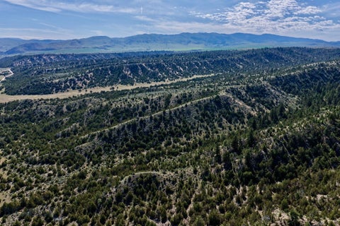 Photo of TBD Dry Creek Road, Townsend, MT 59644 (MLS # 413916)