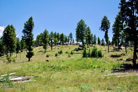 Photo of 3414 Divide Creek RD, Divide, MT 59727 (MLS # 415251)