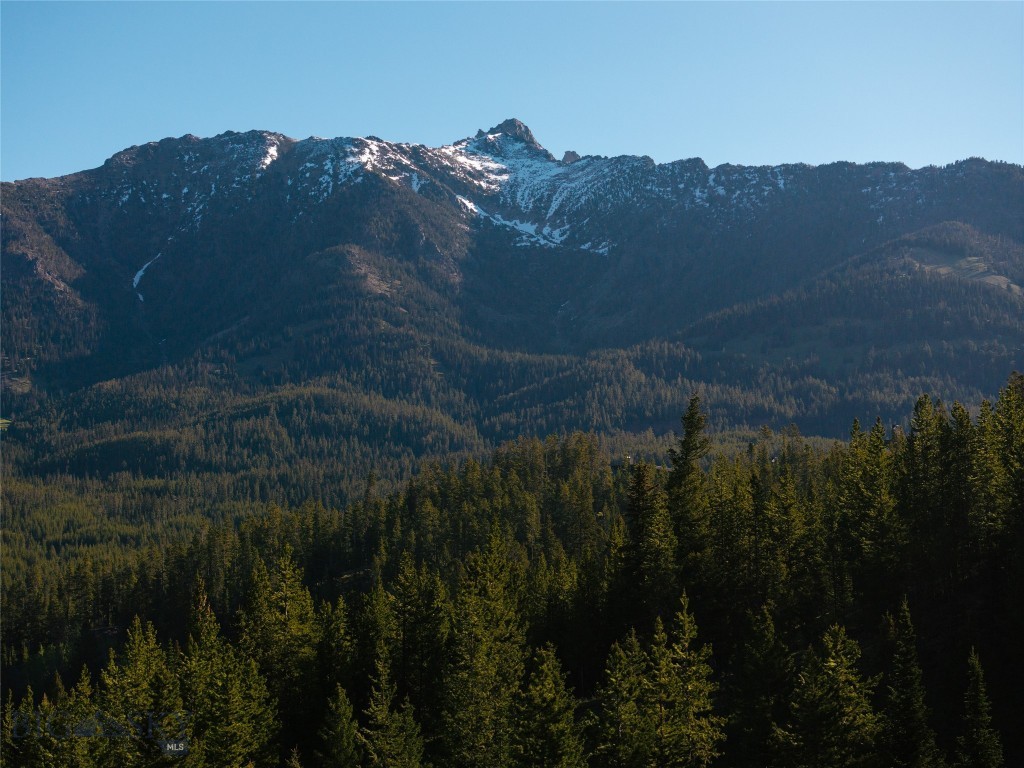 TBD Roosevelt Road