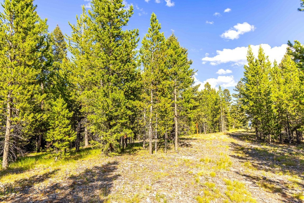 Ranches Neighborhood - Land