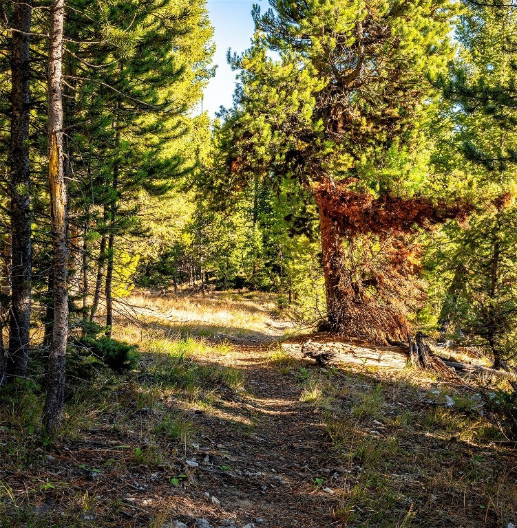 Ranches Neighborhood - Land