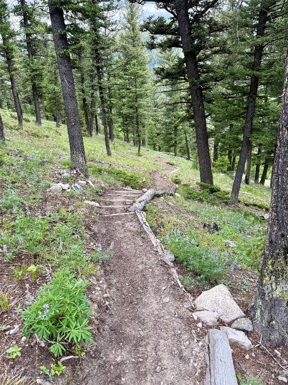 Lost Trails - Residential