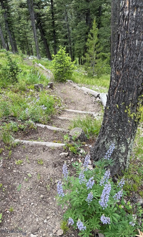 Lost Trails - Residential