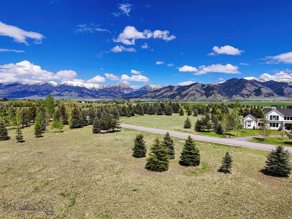 Bridger Lake Meadows - Land