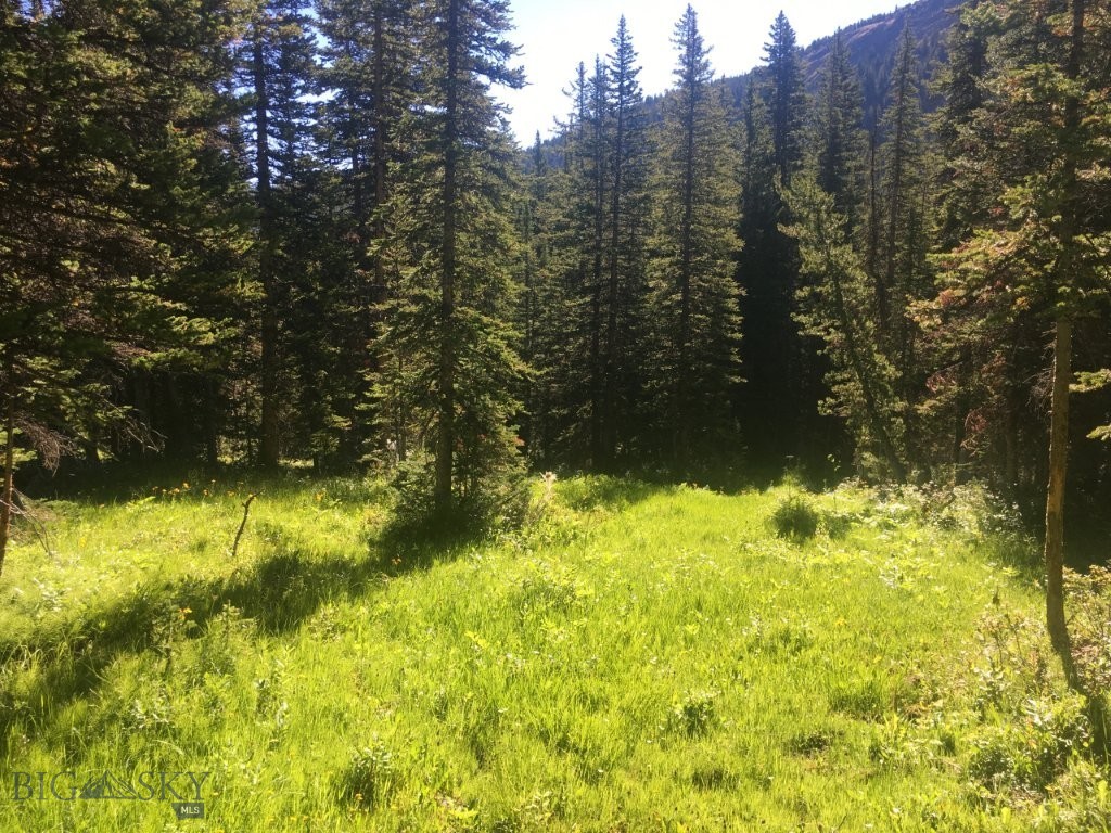 TBD Trapper Creek Road