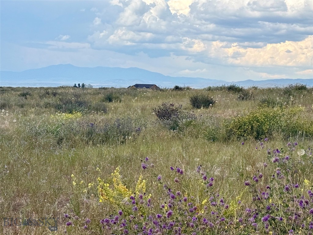 40 Buffalo Jump Trail