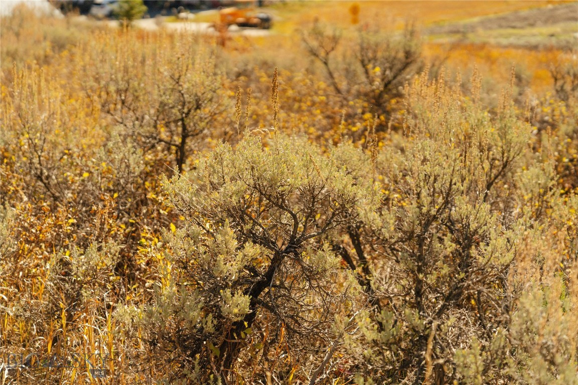 Upper Whitefish - Land