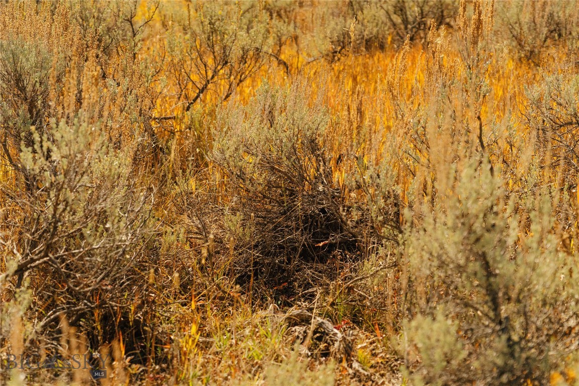 Upper Whitefish - Land