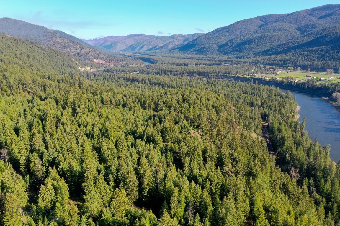 TBD Cougar Creek Way