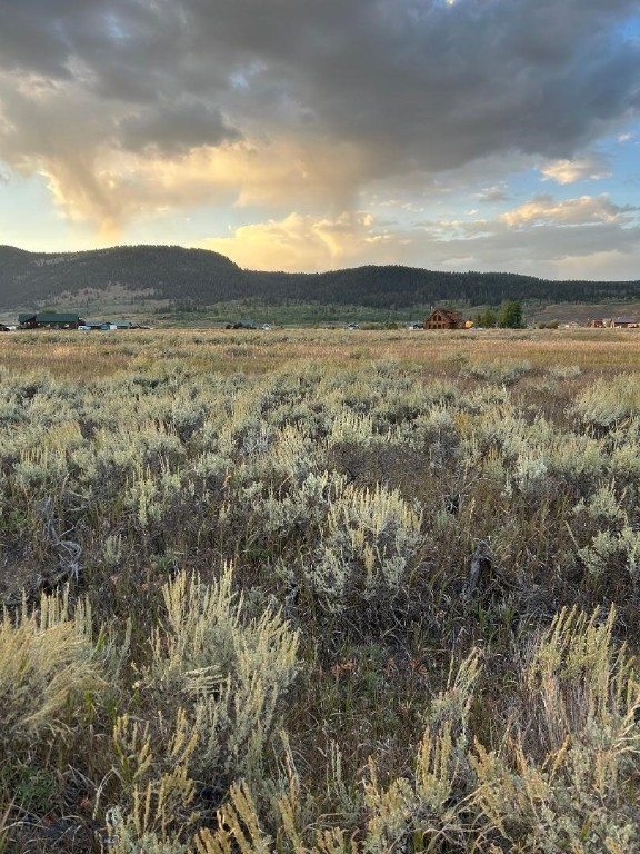 Bear Trap Ranch - Land