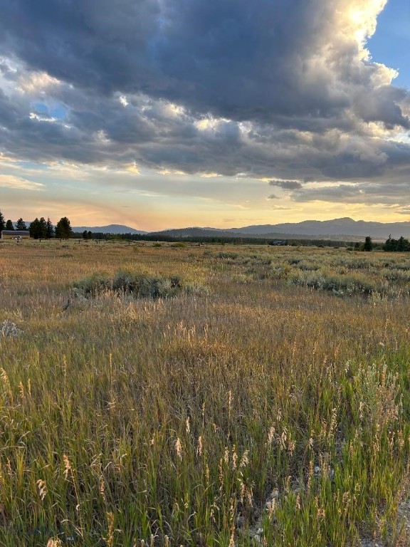 Bear Trap Ranch - Land