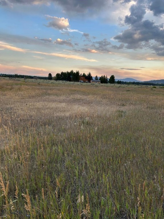 Bear Trap Ranch - Land