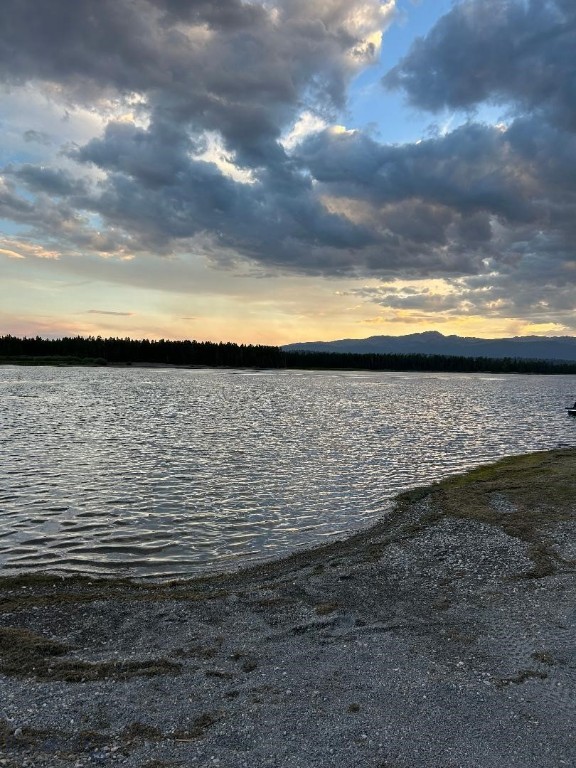 Bear Trap Ranch - Land