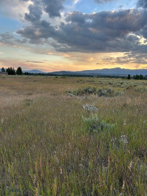 Bear Trap Ranch - Land