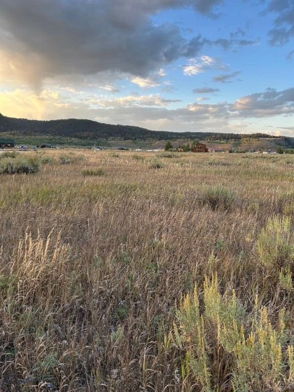 Bear Trap Ranch - Land