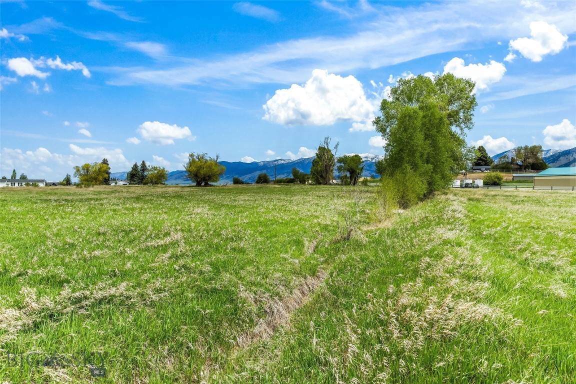 Minor Subdivision - Land