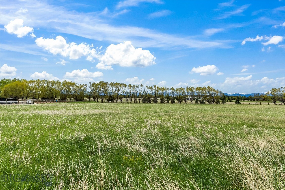 Minor Subdivision - Land