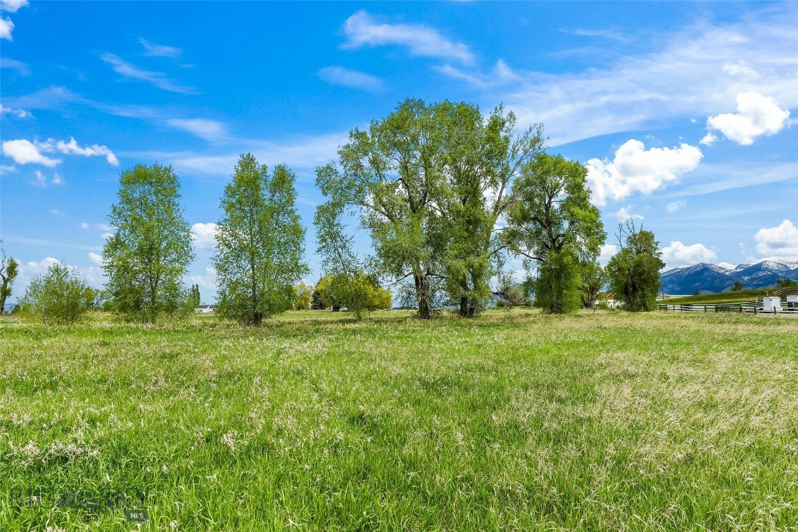Minor Subdivision - Land