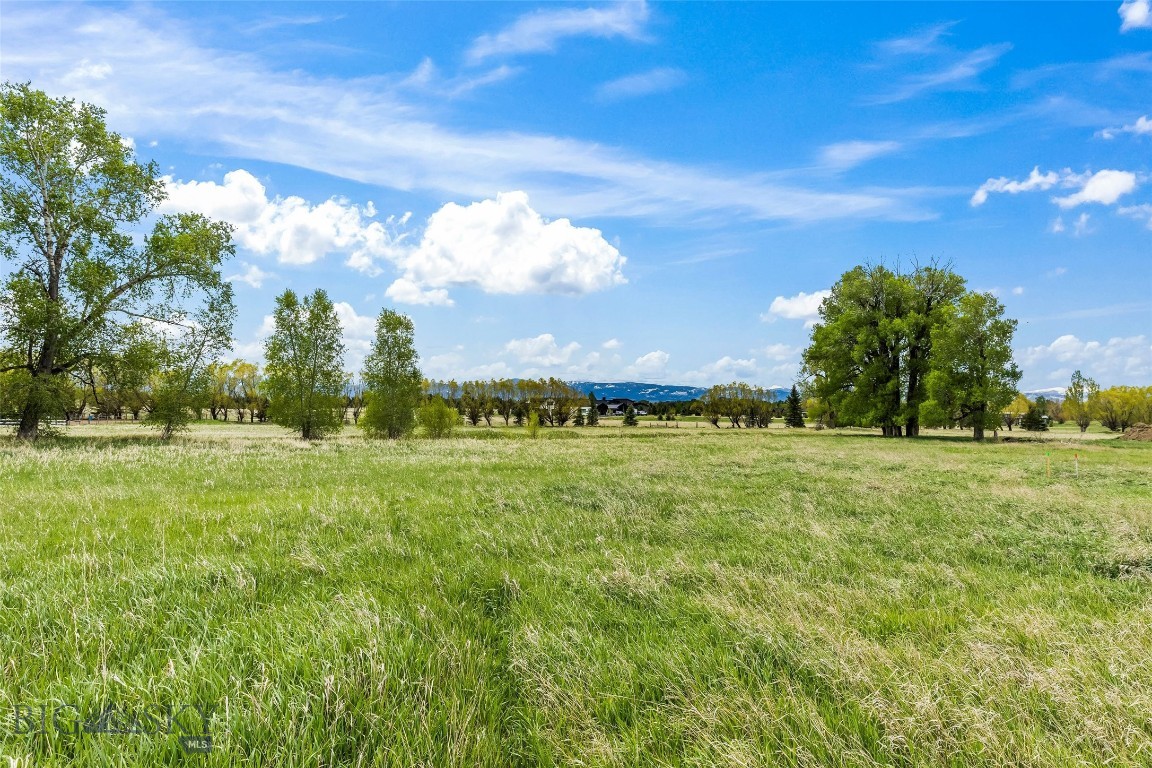 Minor Subdivision - Land