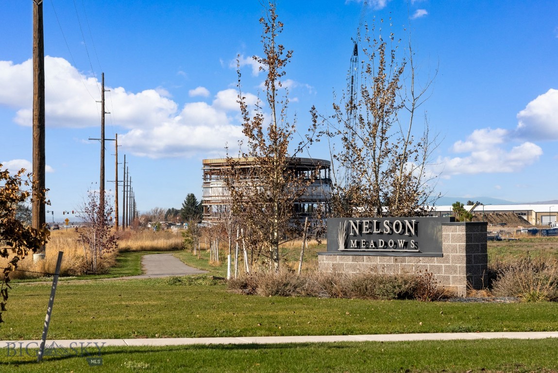 Nelson Meadows - Land