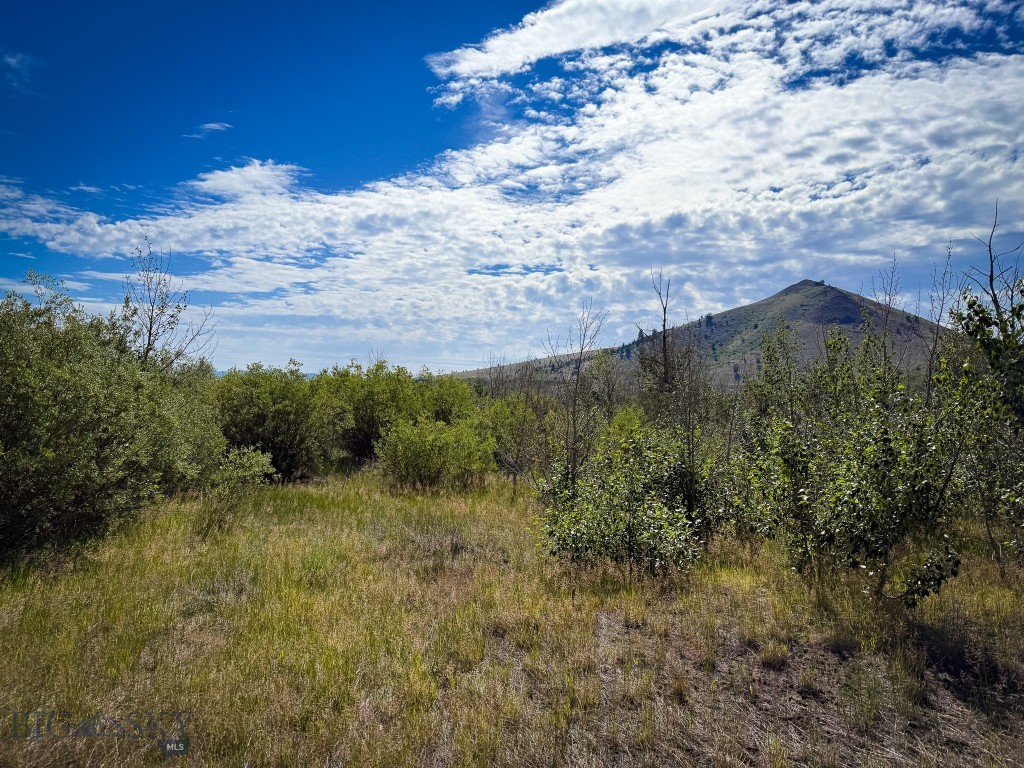Aspen Hills - Land