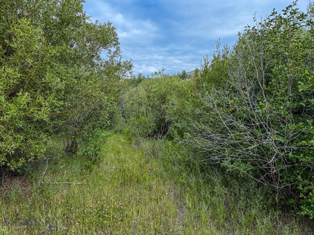 Aspen Hills - Land