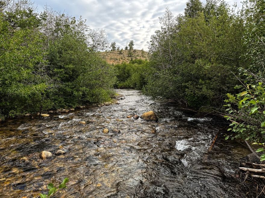 With Mill Creek flowing through the property (Lot 43), this scenic acreage about 10 minutes from Anaconda offers a rare combination of live water, year-round access, and wide-ranging recreational potential. Whether you're looking to build a full-time residence, create a seasonal retreat, or simply enjoy the land as-is, this one checks all the boxes.

The property has power running along the highway, multiple private build sites near the creek, and open pasture ground ideal for horses or other livestock. It’s adjacent to a vast expanse of public land, offering direct access to thousands of acres for hunting, hiking, and exploring. Elk, deer, and bears are common in the area, enhancing both the recreational and natural appeal.

Nearby attractions include Georgetown Lake, Fairmont Hot Springs, the Anaconda Pintler Wilderness, and the Old Works Golf Course, designed by Jack Nicklaus. Anaconda provides daily essentials, medical care, and small-town charm, while Butte—home to the nearest Walmart—is just a short drive away.

This property combines natural beauty, recreational access, and everyday convenience—an increasingly rare find in this part of Montana.