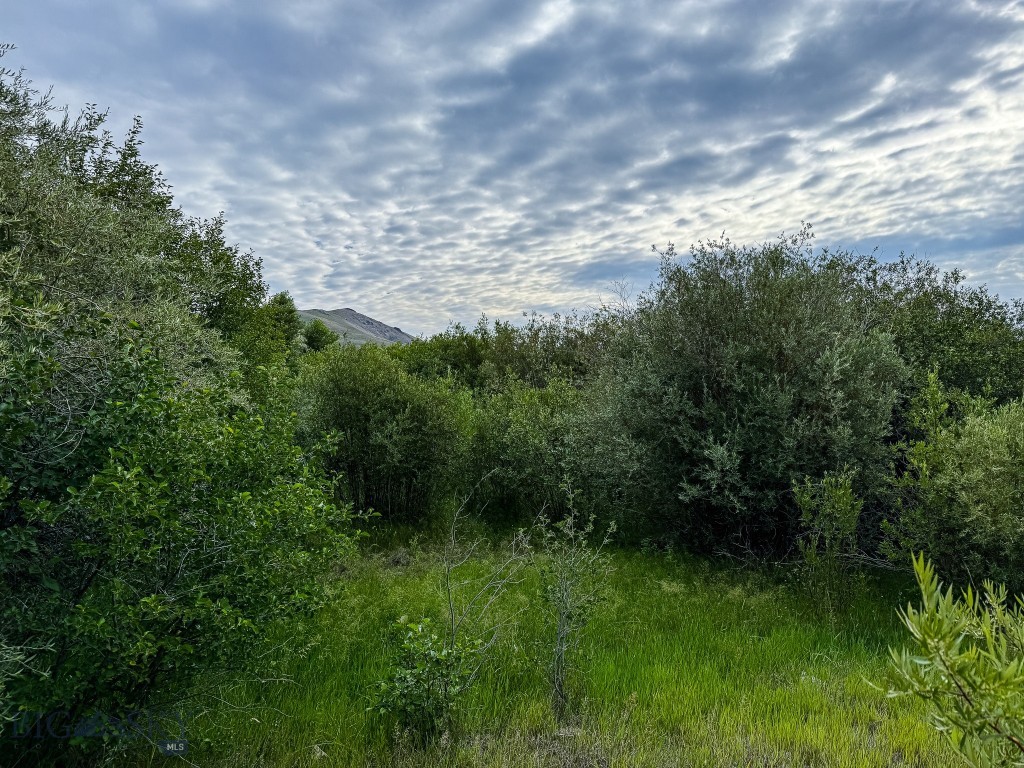 Aspen Hills - Land