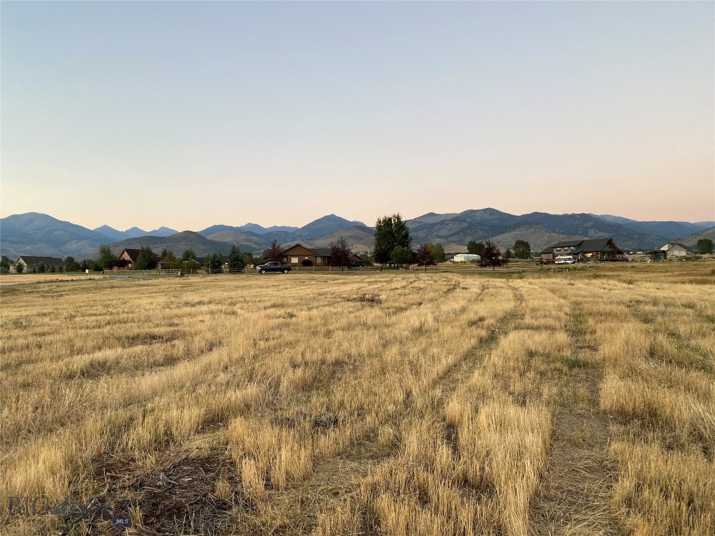 Homestead Major Sub - Land