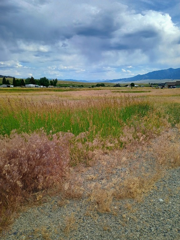 Homestead Major Sub - Land