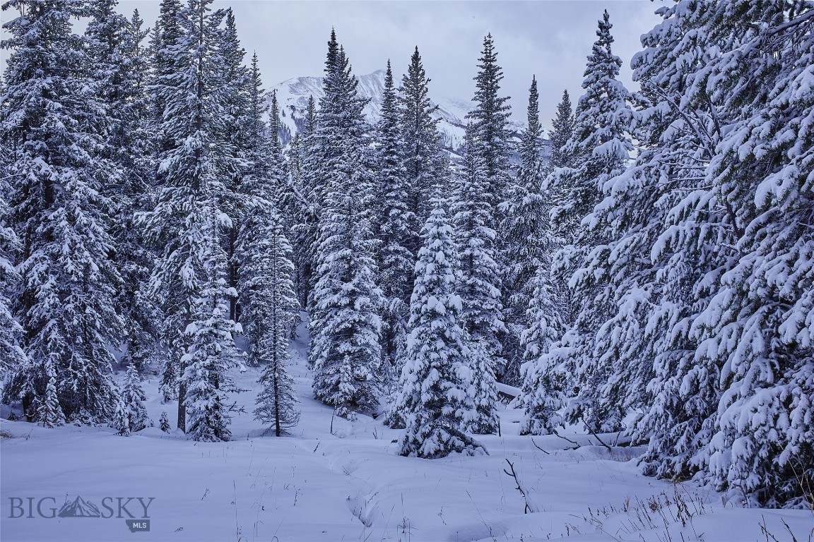 Ulerys Lakes of Moonlight Basin Ranch - Land