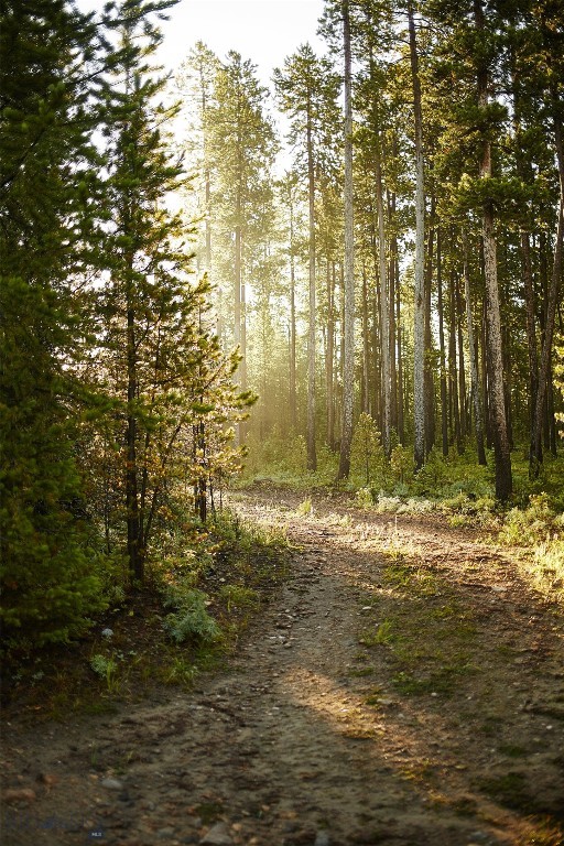 Ulerys Lakes of Moonlight Basin Ranch - Land