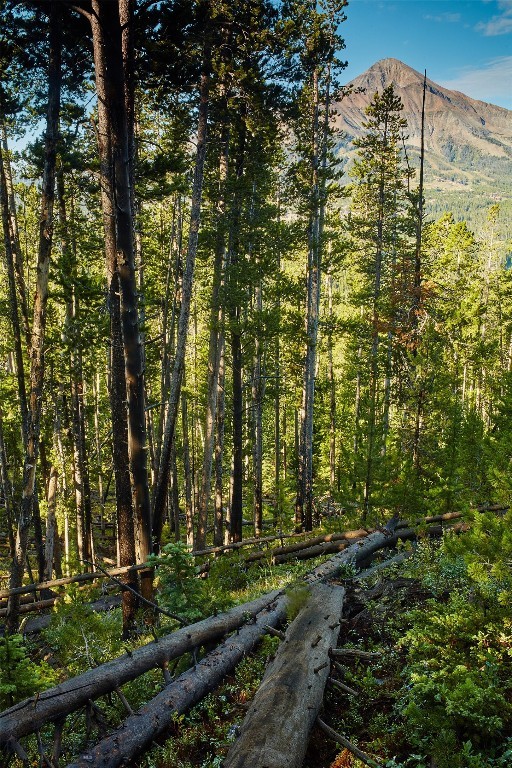 Ulerys Lakes of Moonlight Basin Ranch - Land