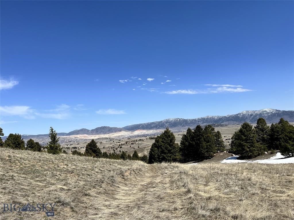 Enjoy the serenity of this beautiful mountain getaway. Build your dream home or consider subdividing. This 151 acre parcel has abundant wildlife and gorgeous city and mountain views. If solitude in nature with the convenience of town close by is what you're looking for, this is the property for you! Quick Highlights: * 151+ Acres * Spectacular Views * Multiple Build-Site Options * Privately Maintained & Accessible Road * Growing Area Outside of Town with New Development * Abundant Wildlife Including Elk & Deer * Hunting Opportunities * Wildlife Viewing Opportunities