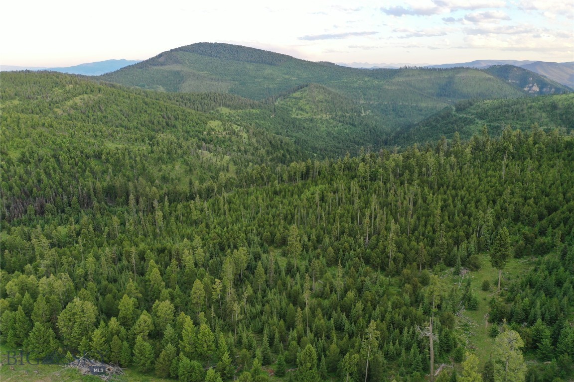 11 Tract, Garnet Range