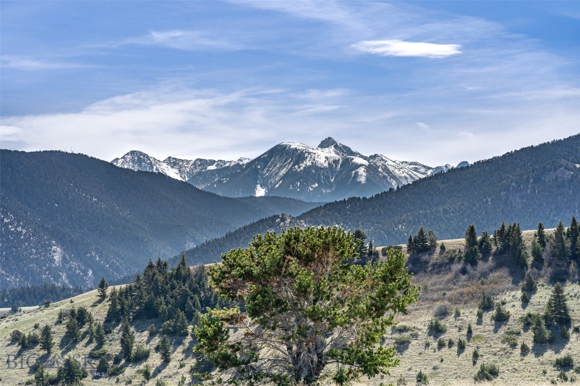 Buffalo Trail Estates - Land