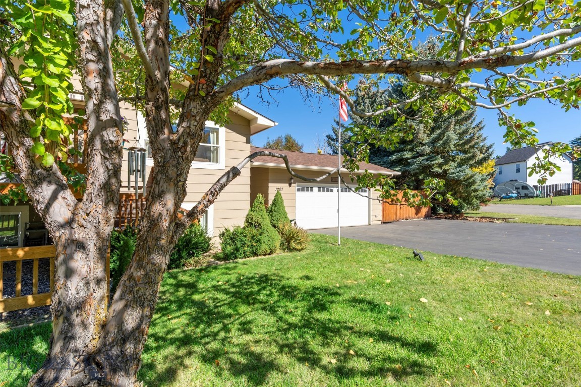 New Hyalite View - Residential