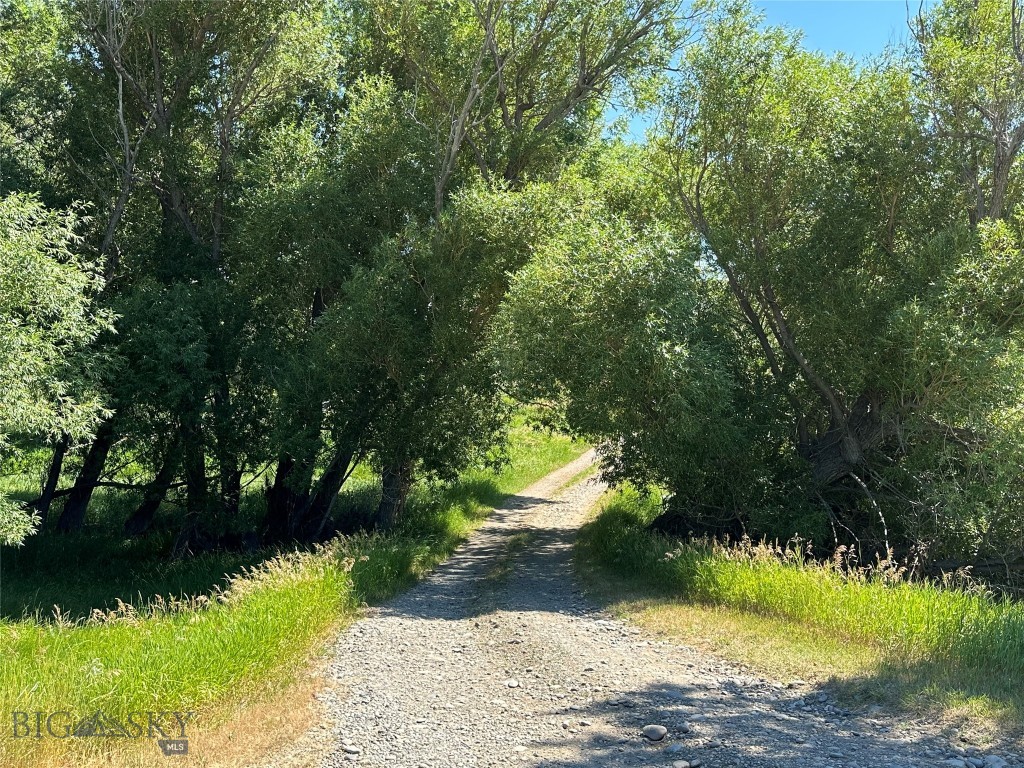 Yellowstone Meadows - Land