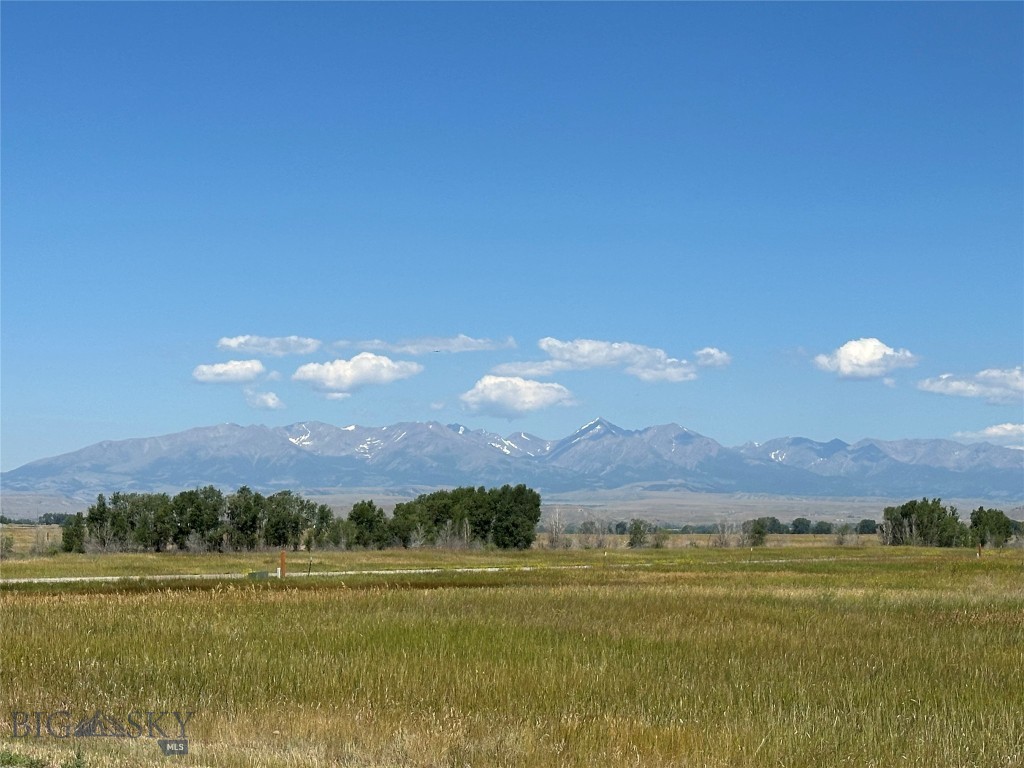 Yellowstone Meadows - Land