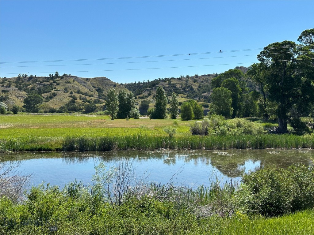 Yellowstone Meadows - Land