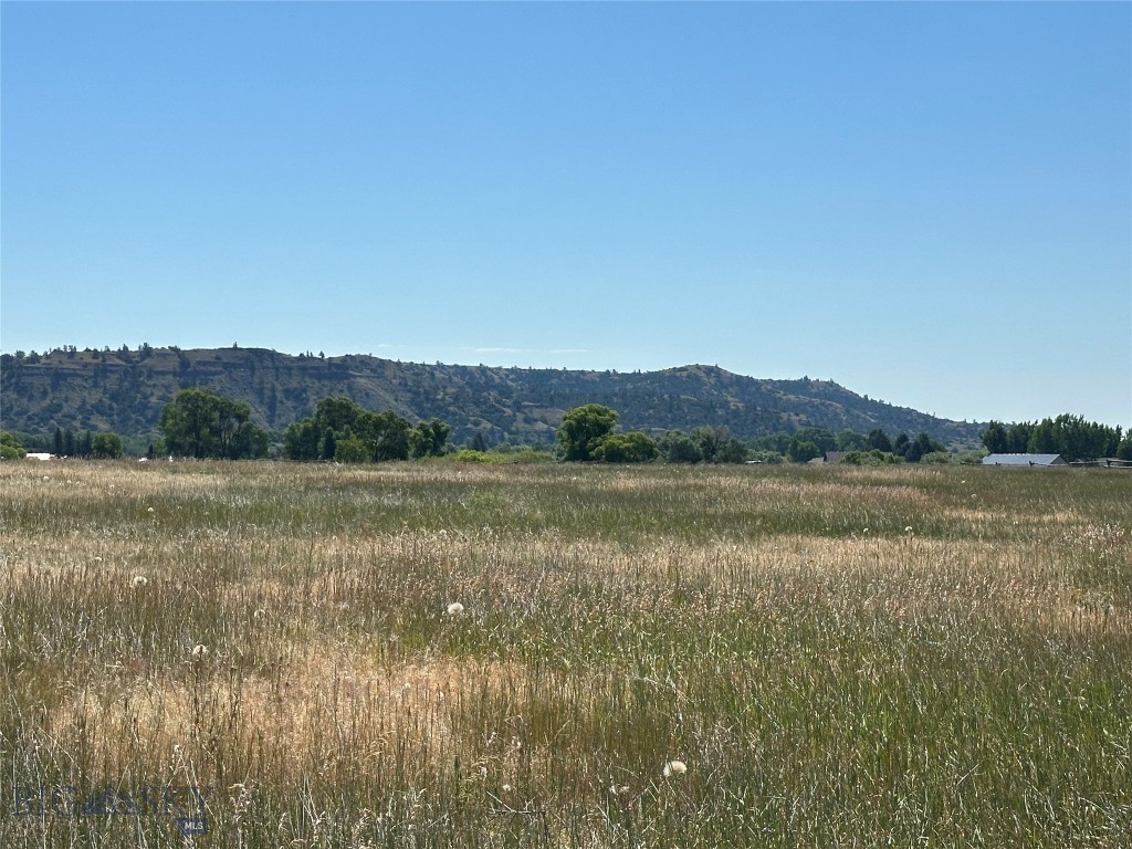Yellowstone Meadows - Land